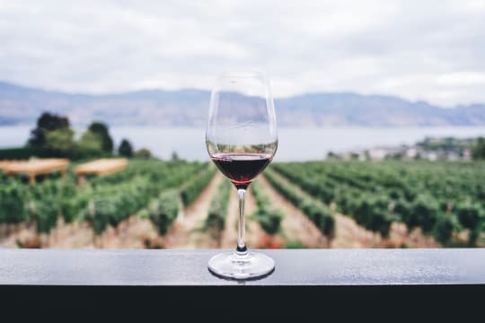 Established Winery & Vineyard Business on 20 Acres in Emerald VIC – Freehold Included [2604222]