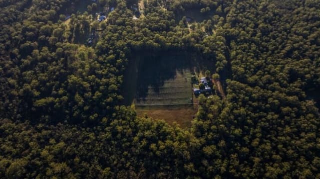 Blueberry Greens Award-Winning Farm + Freehold Lifestyle Property