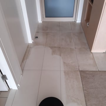 Established Carpet Cleaning Business with 37+ Year History | Loyal Client Base