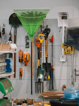 Plezwt1riewbfr42rj6f