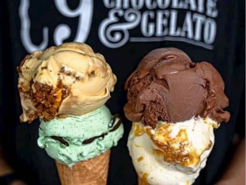 Profitable C9 Chocolate & Gelato Franchise