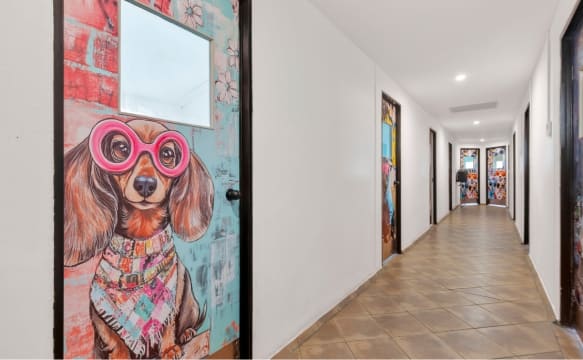 26 Acres, Established Pet Resort & Multiple Residences – A Rare Freehold Opportunity