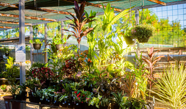 Katherine Mitre10 - highly profitable with multi million sales p.a.