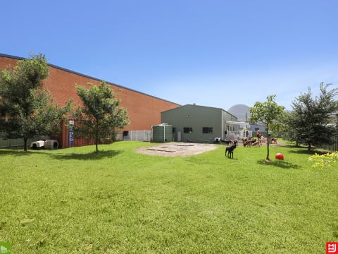 Canineology Centre | Established Doggy Day Care, Dog Grooming & Pet Transport Business - For Sale...