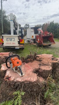 Total Tree & Stump Removal