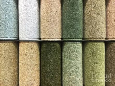 Timber & Carpet Flooring