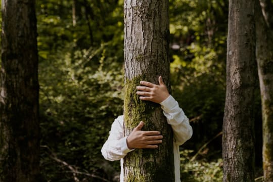 Psfh9ecg0og1uwqyxlim