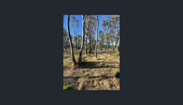 Thirty-Two Acres of Land With Winery & Caravan Park Permit