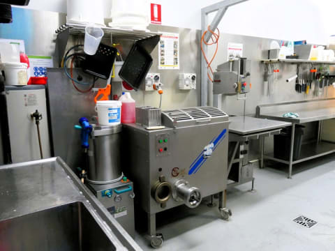 Bos Taurus Butchery