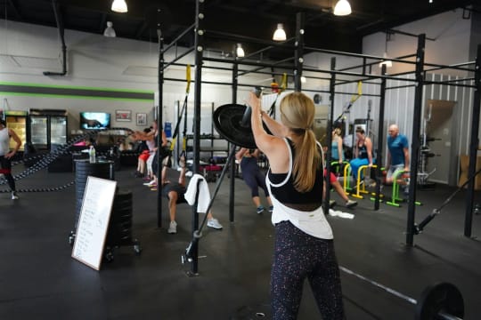 Established Gym for Sale - Waverley Area