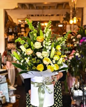 Pxyq6ak21mlekfgnkobt