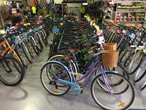 Sea Change Business Opportunity-Cycle your way to Hervey Bay