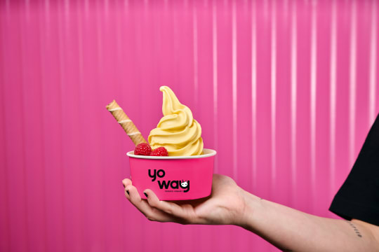 Become a Yo Way Franchisee – High-Quality Fro-Yo, High-Rewards
