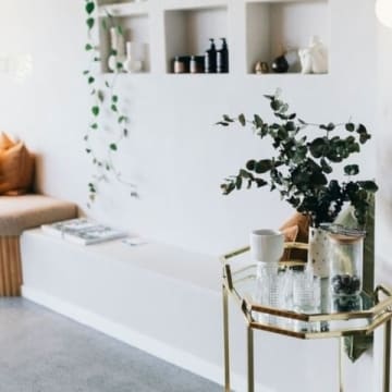 Kalm Springs Wellness and Recovery Franchise