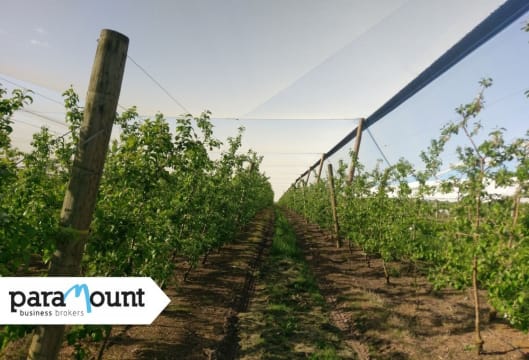 Leading Crop Protection/Netting Infrastructure Specialist VIC (Our Ref: 2065)
