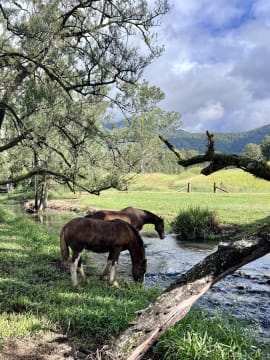 MODERN HOMESTEAD & ACREAGE, ECO-TOURISM APPROVED - 1072CPF