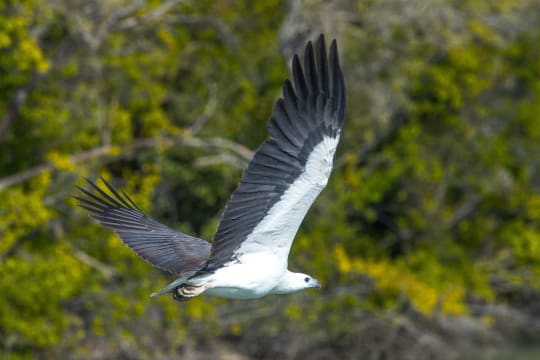 NATURE AND KARUMBA SAND ISLAND SUNSET CRUISES