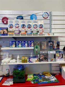 Northam's Only Pet Store For Sale