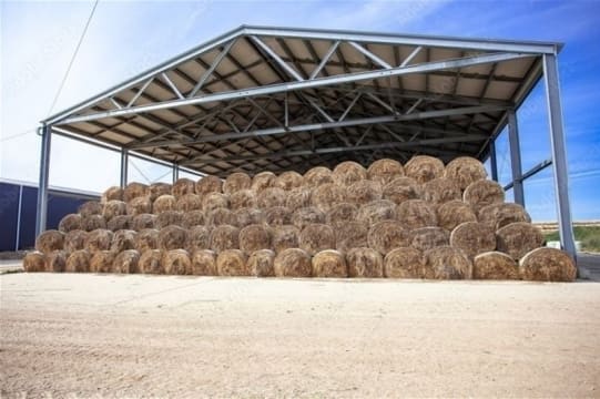 CQ Sheds and Concrete - Unlocking the Power of Ran!