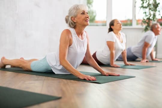 Qlobzq8rs0xlyqqmgips