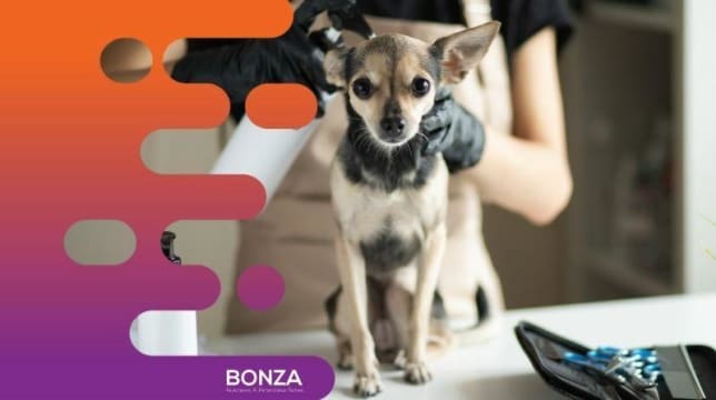 34576 Exciting Opportunity: Turnkey Mobile Dog Grooming Service