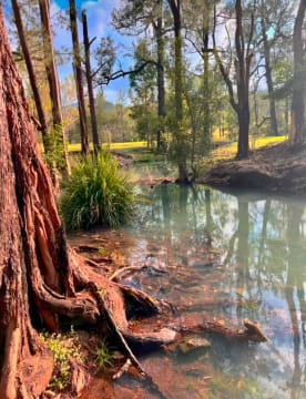 MODERN HOMESTEAD & ACREAGE, ECO-TOURISM APPROVED - 1072CPF