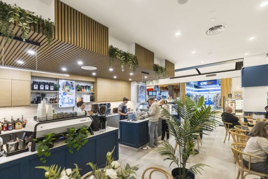 PRICE REDUCED - BLUE SPARROW COFFEE – SOUTHLAND