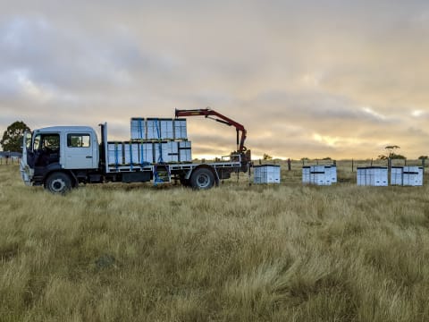 Asset-Based Small Scale Commercial Beekeeping Opportunity for Sale
