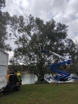 Dynamic Woodsman of Waikerie - A Rare Opportunity - Expressions of Interest