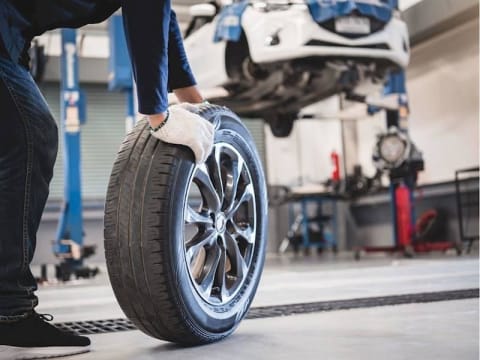 Award Winning Motor Mechanic - Sydney Inner West