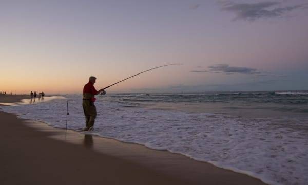 Absolute Beachfront Management Rights - Surfers Paradise Icon | Resort Brokers ID : MR009253