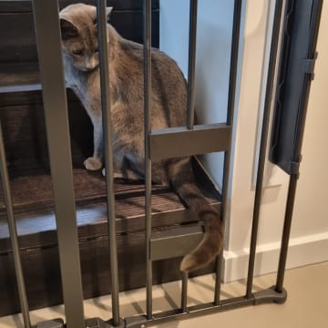 Customized High Quality Child Safety Gates and Barriers – Melbourne, VIC