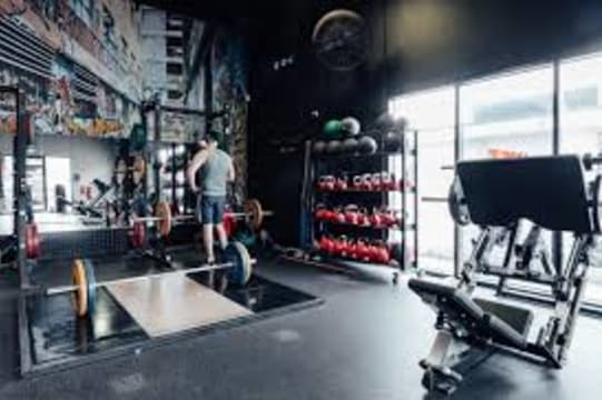 Qu5lg0jm3qw6vemnwa81