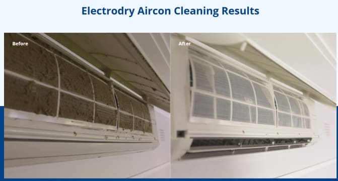 ESTABLISHED BRAND, ELITE RESULTS