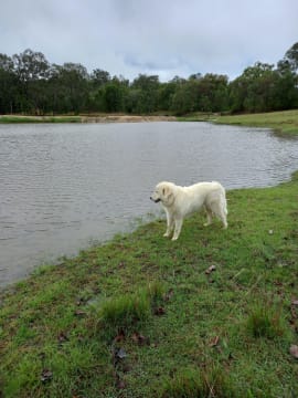 Qukjiiomypqlffajh5tr