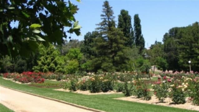 Specialist boutique Strata Management agency in Wagga Wagga