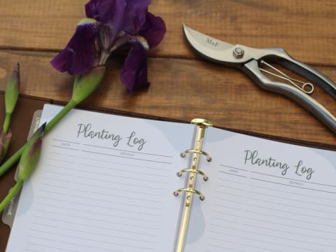 Gardening Gift Box Business – National Online Opportunity