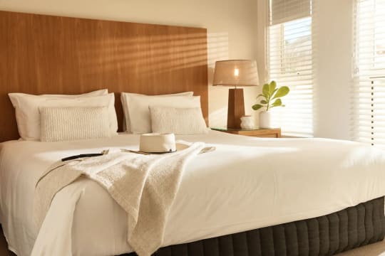 R1z4r5gi21fnehhqrzdz