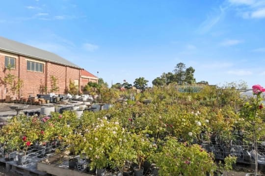 Multiflora Nursery - Colac (IWR2646)