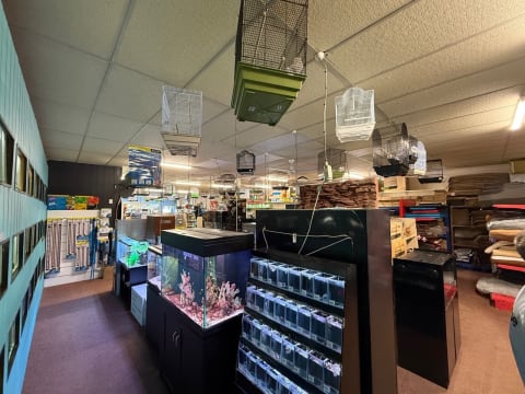 Retail Pet Supplies Business – Tamworth, NSW