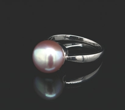 R81j9vlm0erex9djwkja