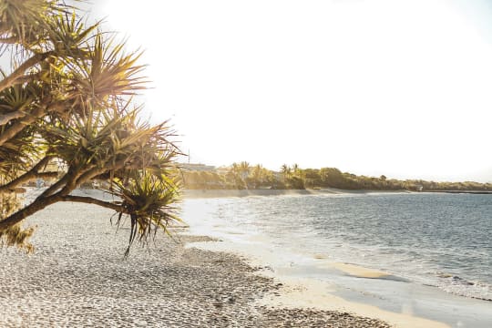 Art and Retail Business for Sale – Iconic Hastings Street, Noosa Heads location
