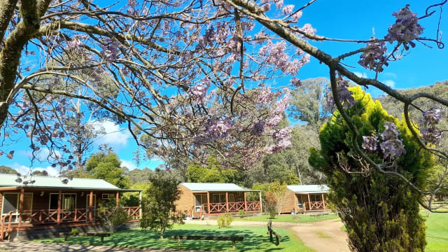 Harrietville Cabins – Established High Country Accommodation