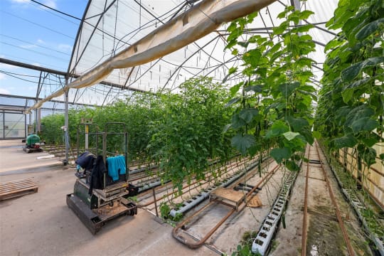 Hydroponic Vegetable Crop Farm - Land, Buildings & Machinery