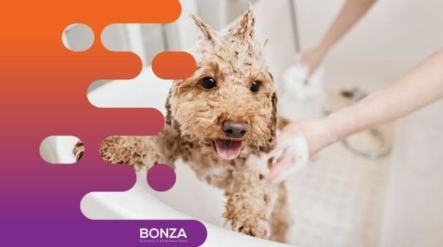 34576 Exciting Opportunity: Turnkey Mobile Dog Grooming Service