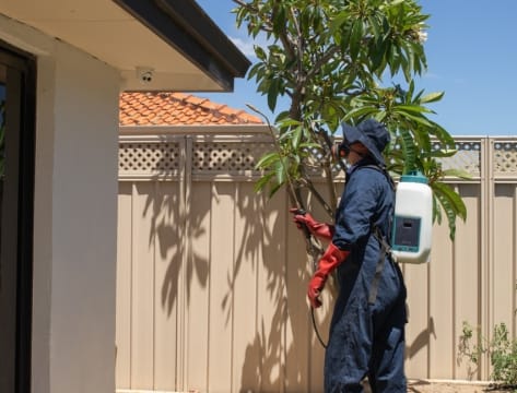 SURE Pest Control Franchises – Perth, WA