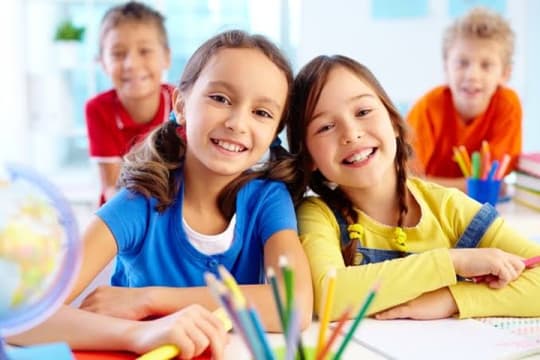 Unique, Import, Wholesale/Distribution and Online School Products Business #424