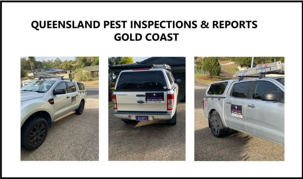 Queensland Pest Inspections & Reports Gold Coast