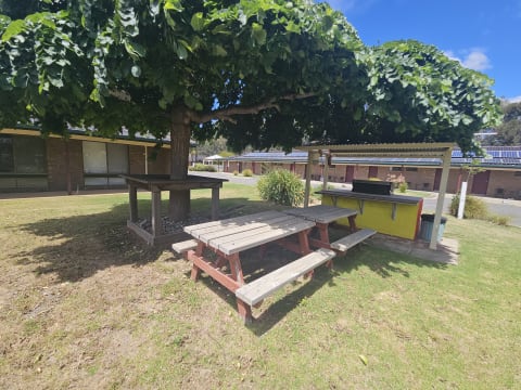 THE BIG ONE YOU HAVE BEEN WAITING FOR, SO MUCH SCOPE - 2422ML