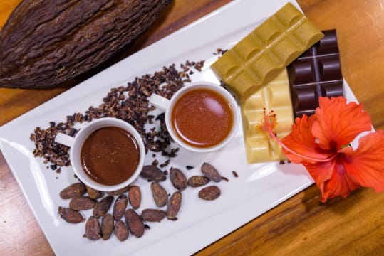 Chocolate Shop Cafe & Online Gifting Business SV1601